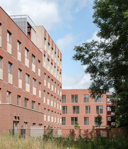 Harbard Close 住宅丨Reed Watts Architects-3