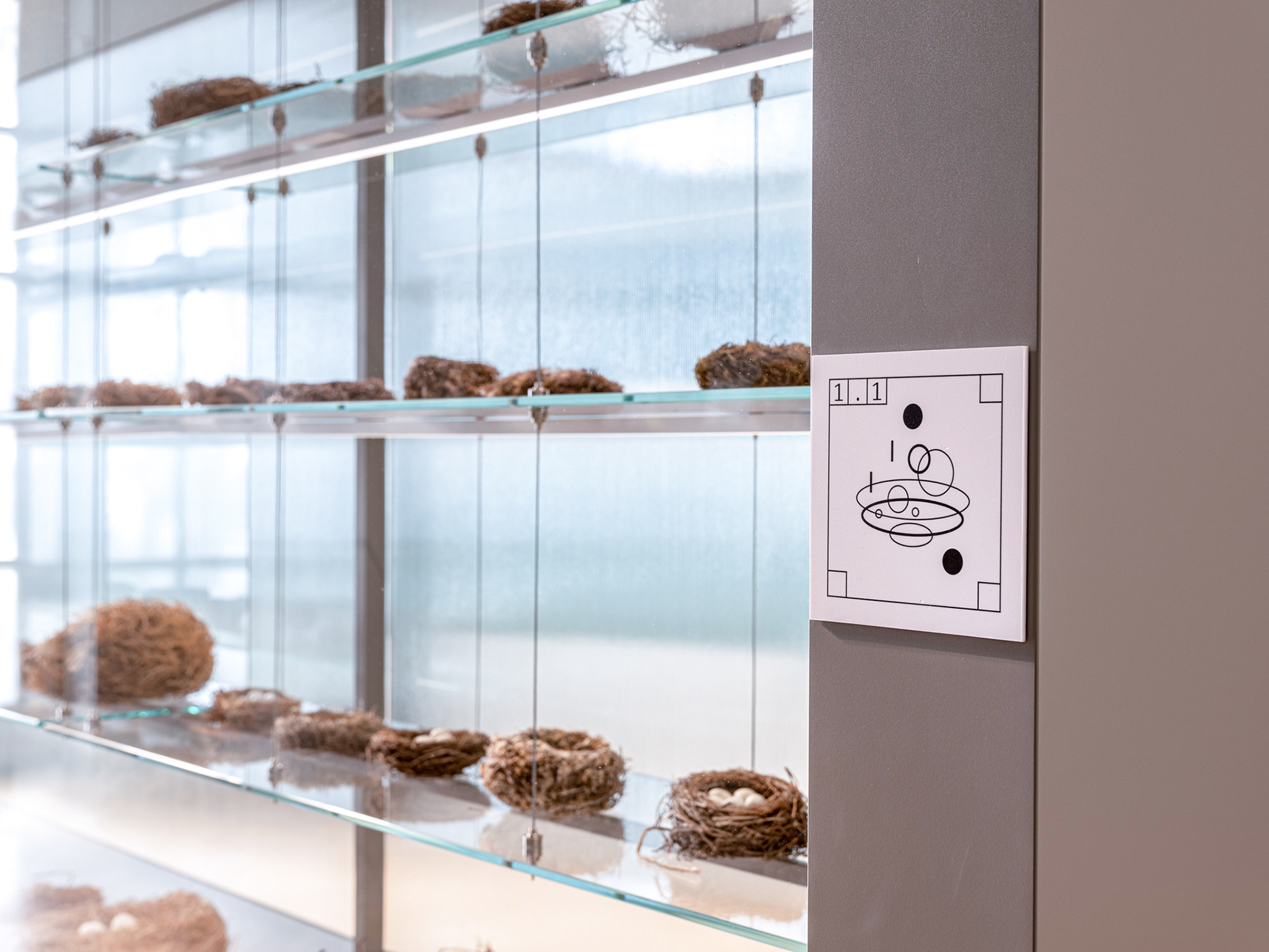 12 Signs of the Life 展览丨Holystick-11