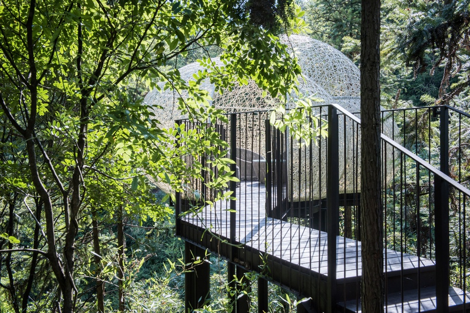 齐云山树屋世界-57