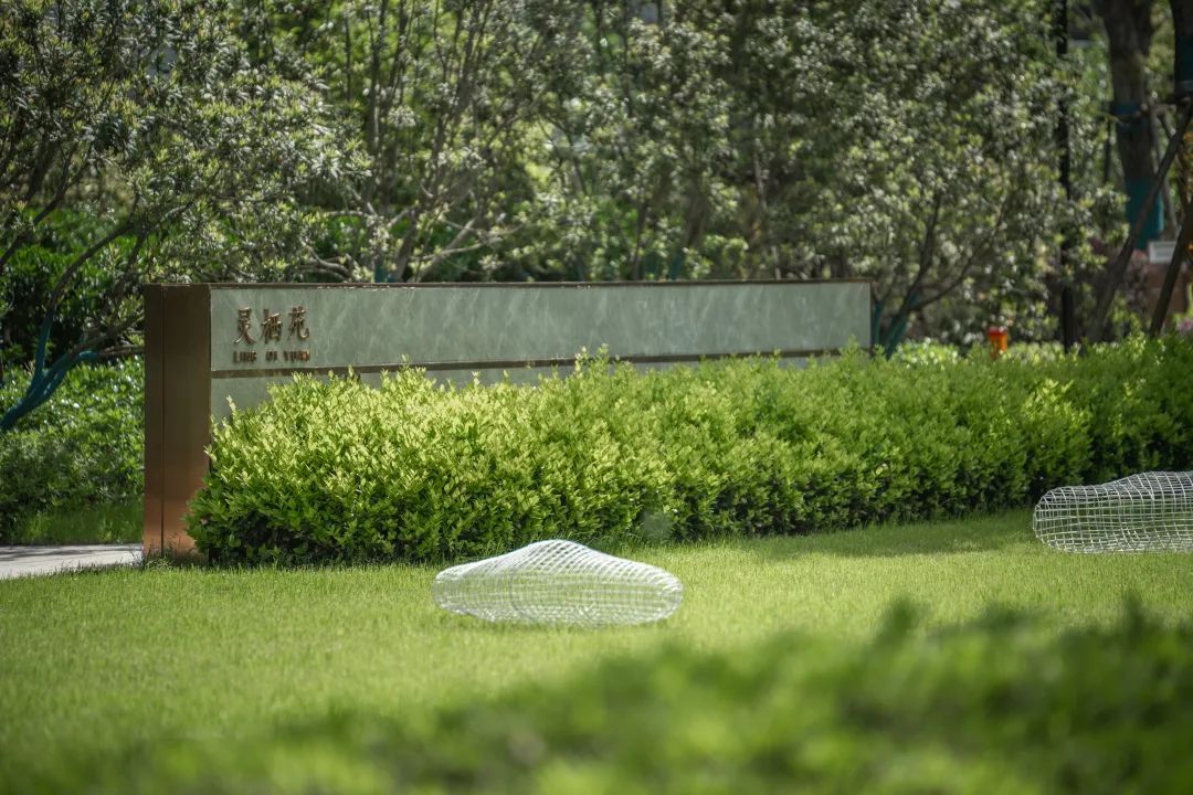 中南作品 | 建德江上云起，临江画境，自然盛景-31