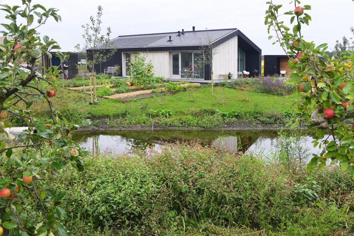 丨NetherlandsAlmere-5