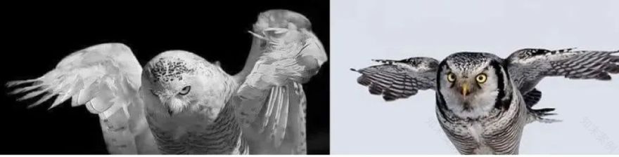 雪鸮酒吧丨中国长沙丨凡兮设计师事务所-30