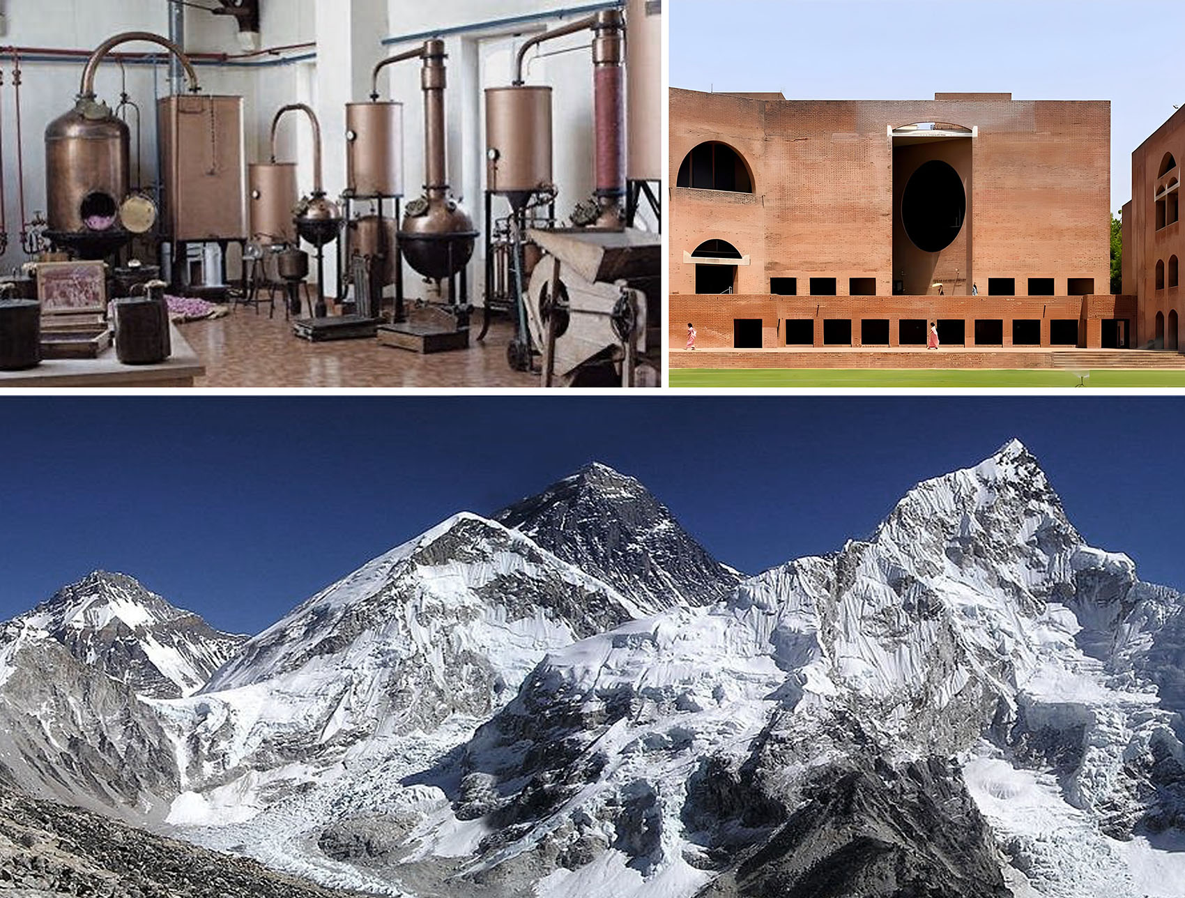 广州雪蕾香氛博物馆丨中国广州丨HHD深圳华汇设计-35