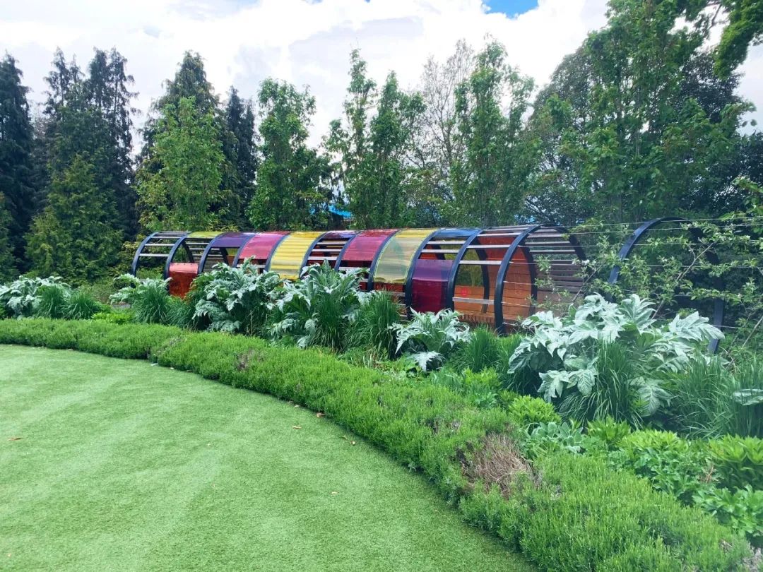 英国皇家植物园儿童花园丨Suzie Jewell-82