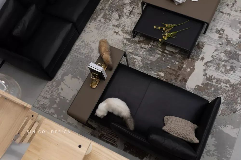 阳光城愉景湾猫舍别墅丨星杰-56