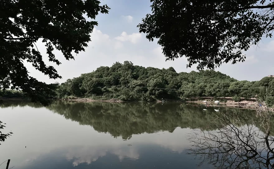 义乌绿城桃花源·山水之间的生活美学-16