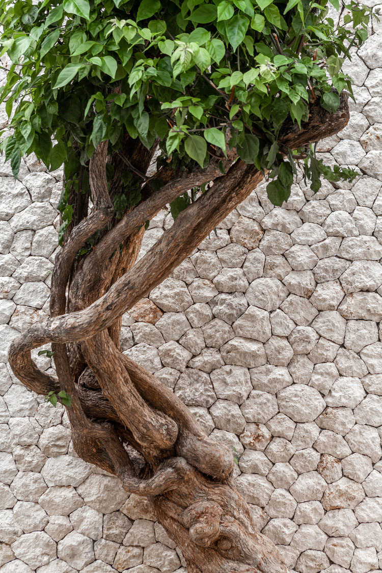 巴厘岛热带绿洲泳池别墅-13