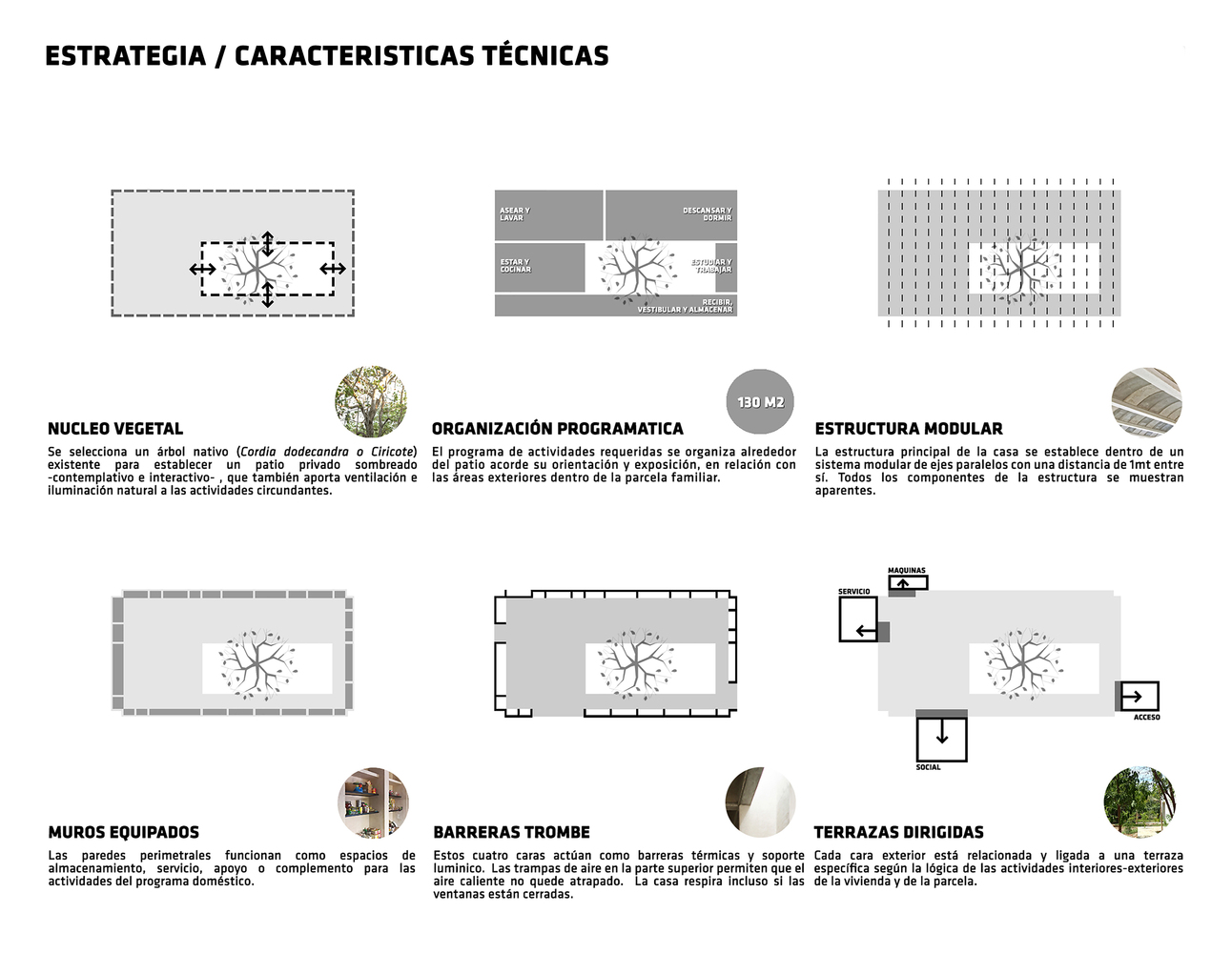 隐秘庭院 · 绿色核心的家庭住宅-20