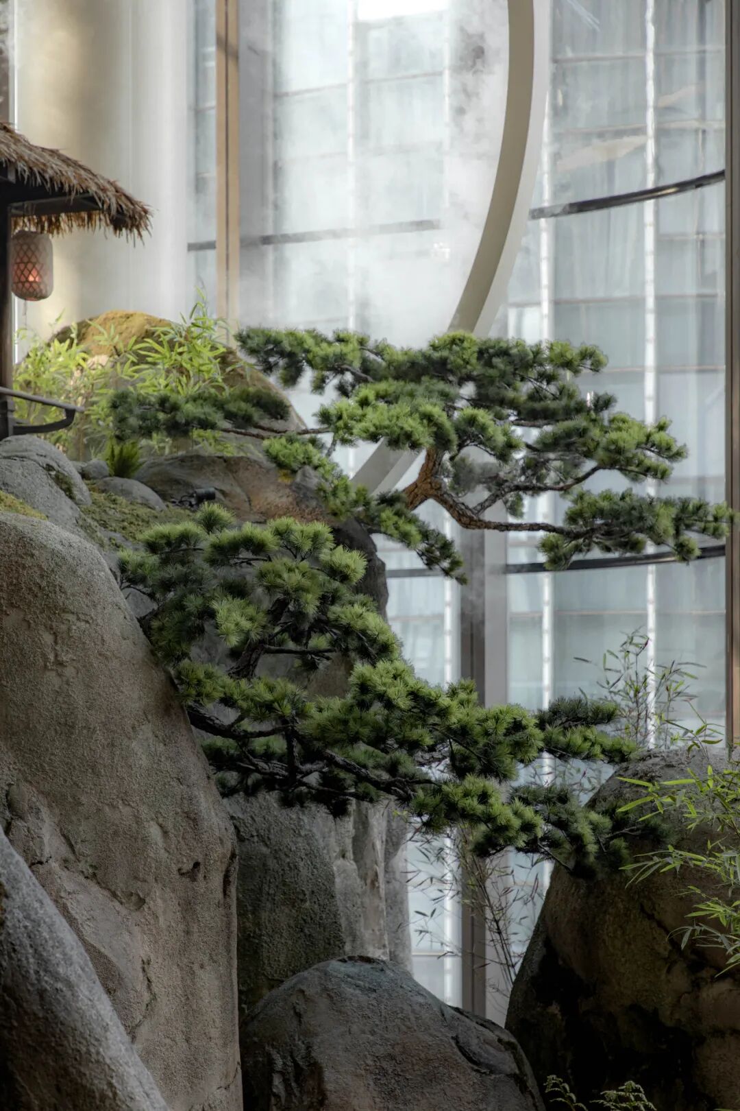 JLC金陵中環|从水墨画境走入自然草木-31