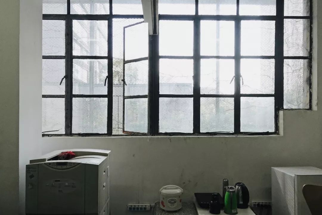 刘晓都的“秘密花园” | 都市实践办公室探秘-20