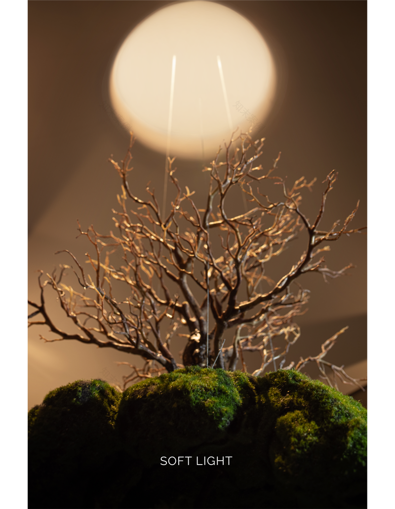 琉璃皝宫丨中国广州丨MOSOM墨森设计-2