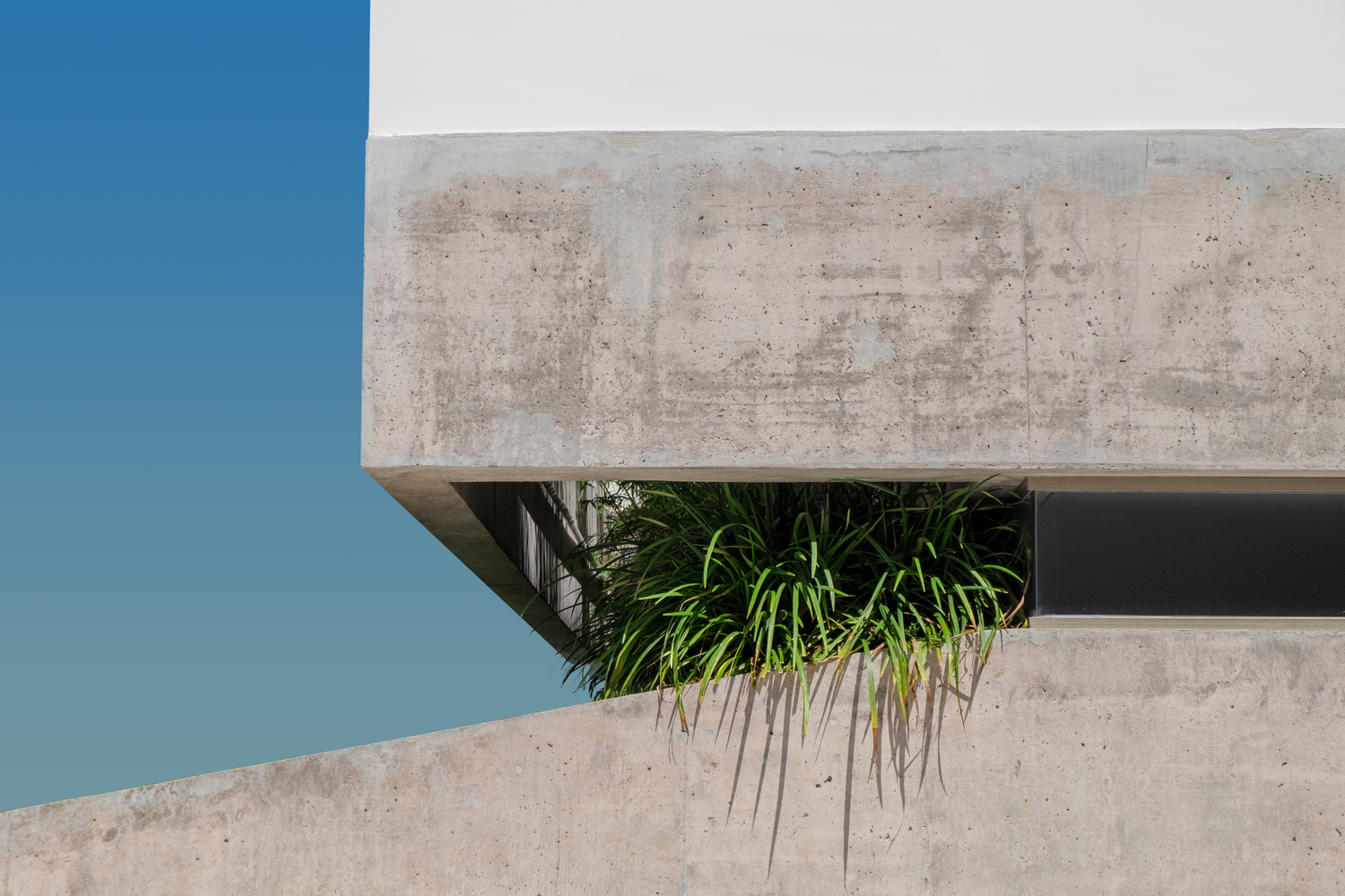 Casa Petry 住宅-20