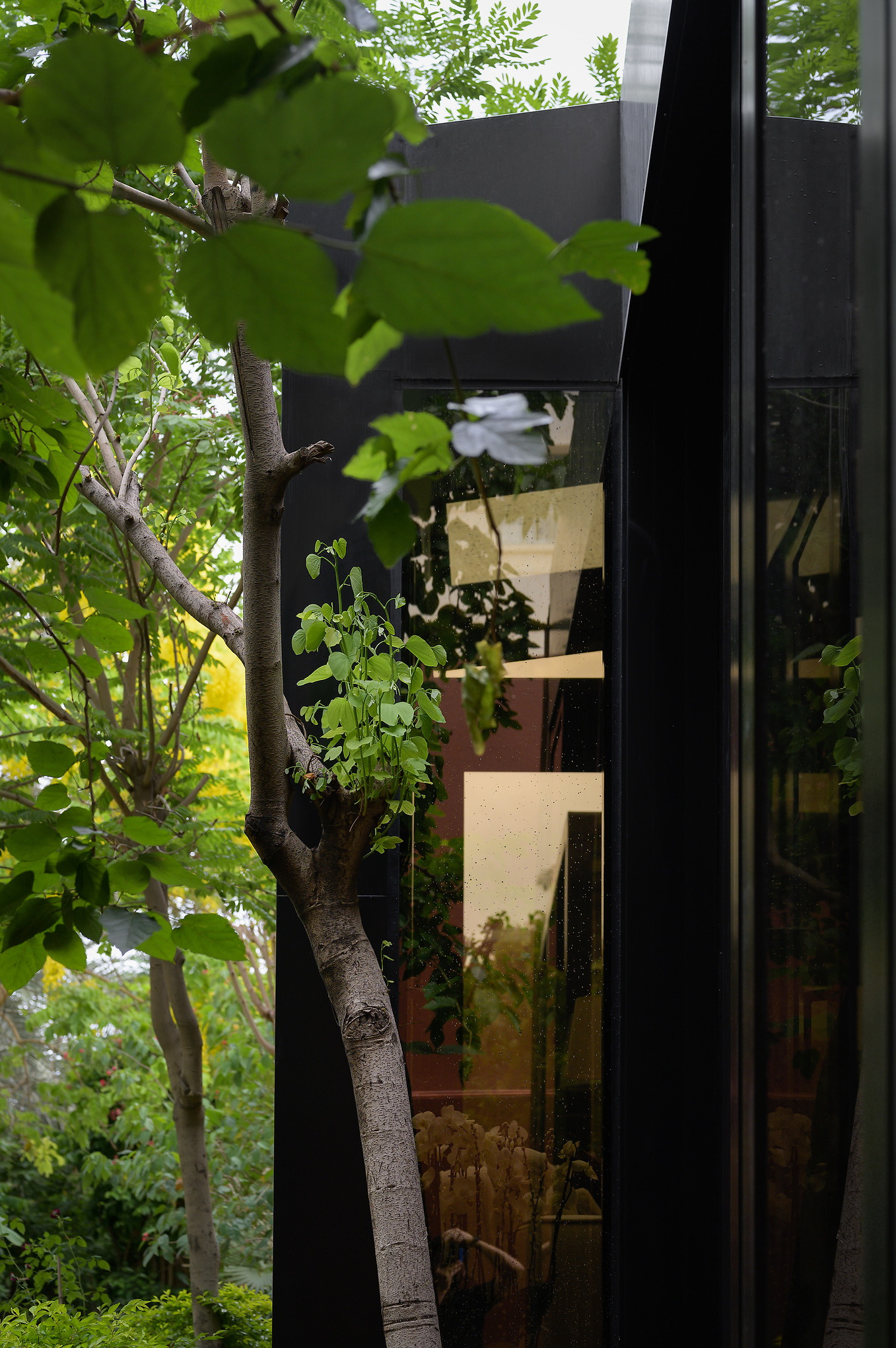 花园房 | Nabat | 2023 | 科威特-15