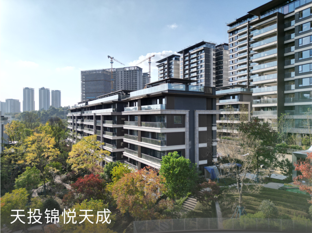 天投·锦悦天成丨中国成都丨中国建筑西南设计研究院有限公司-0