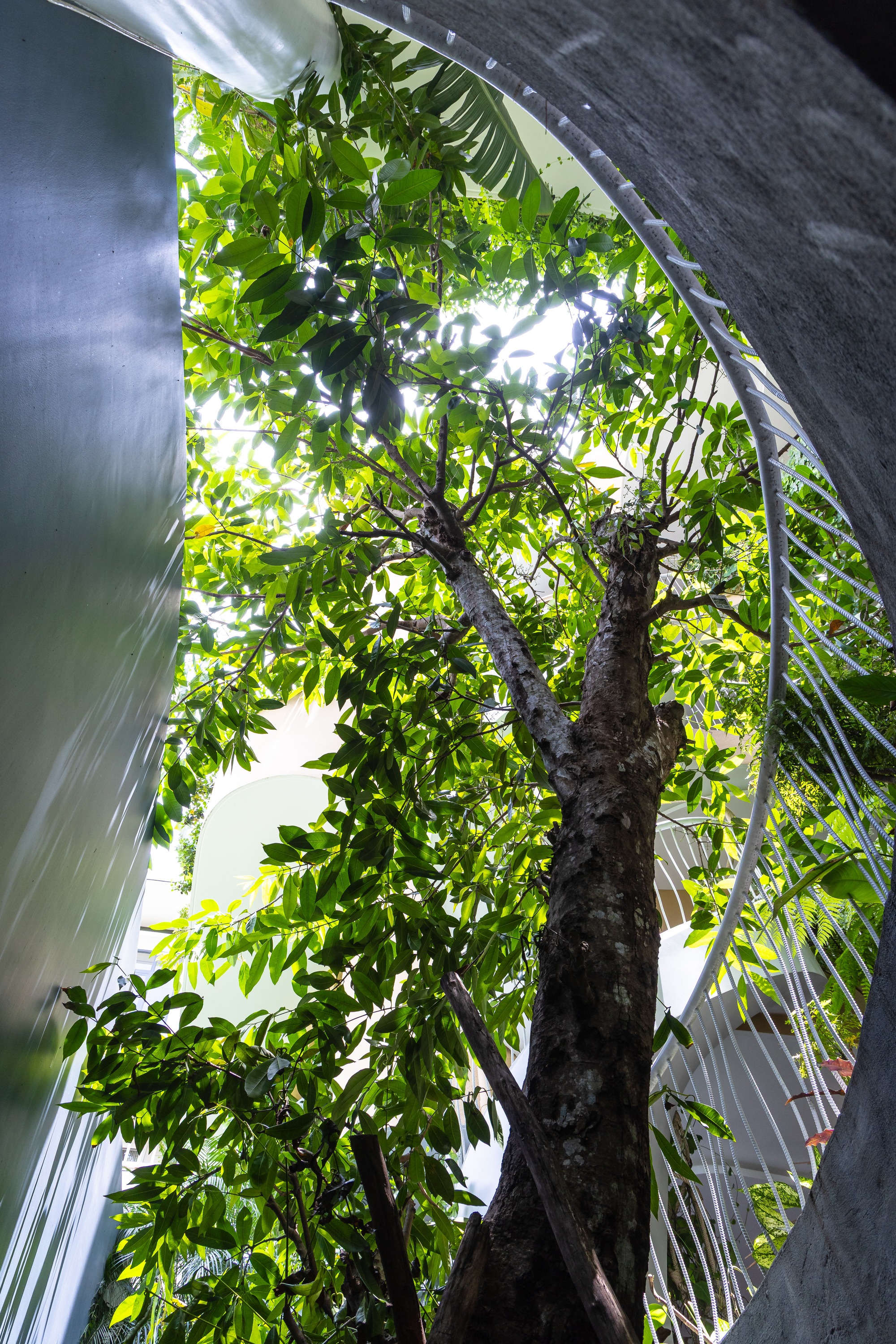 丨越南丨Ho Khue Architects,FHD-46