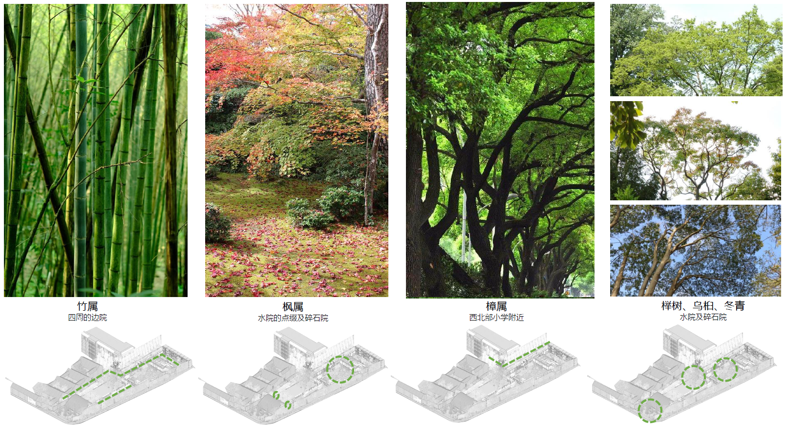 李晓东最新方案：“祼”园，当代园林-24