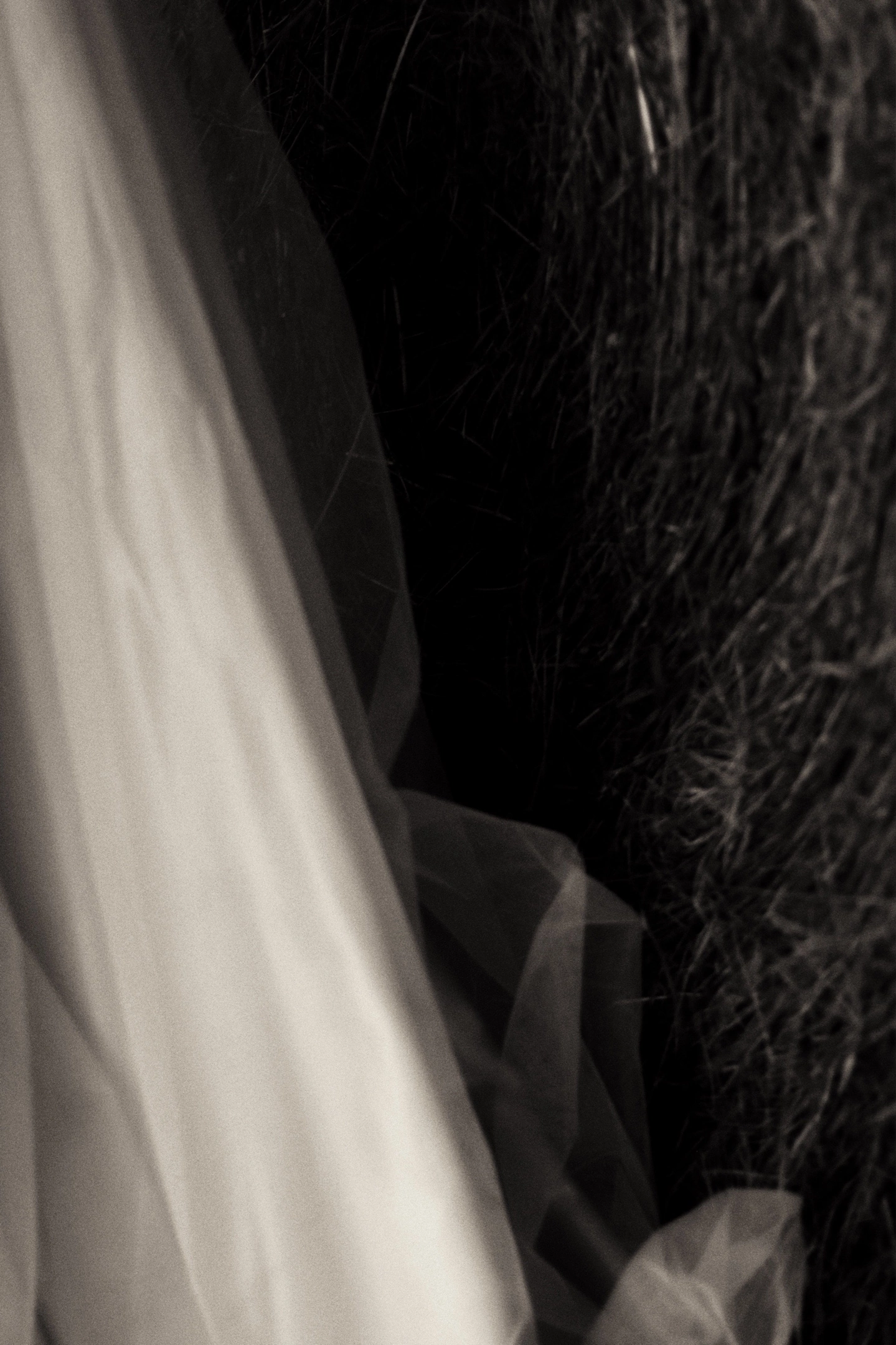 vai chegando (1.2.3 vai)-2