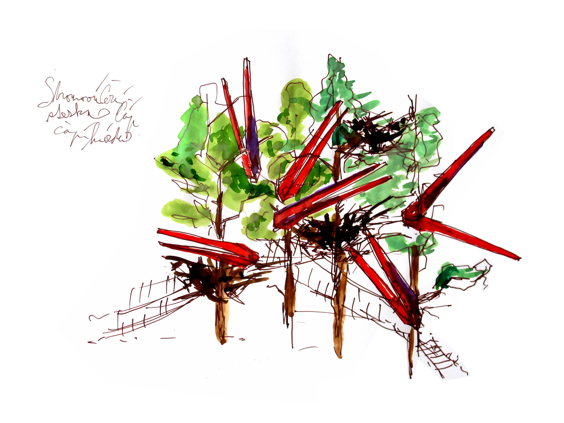 Herní krajina Pecka（佩卡游乐场地）-131