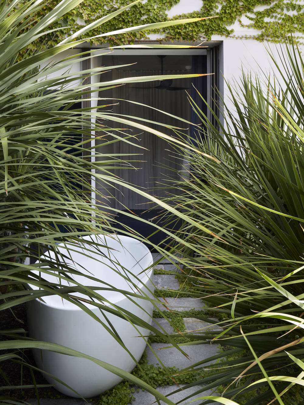 悉尼自然宁静住宅丨澳大利亚悉尼丨Adam Haddow-12