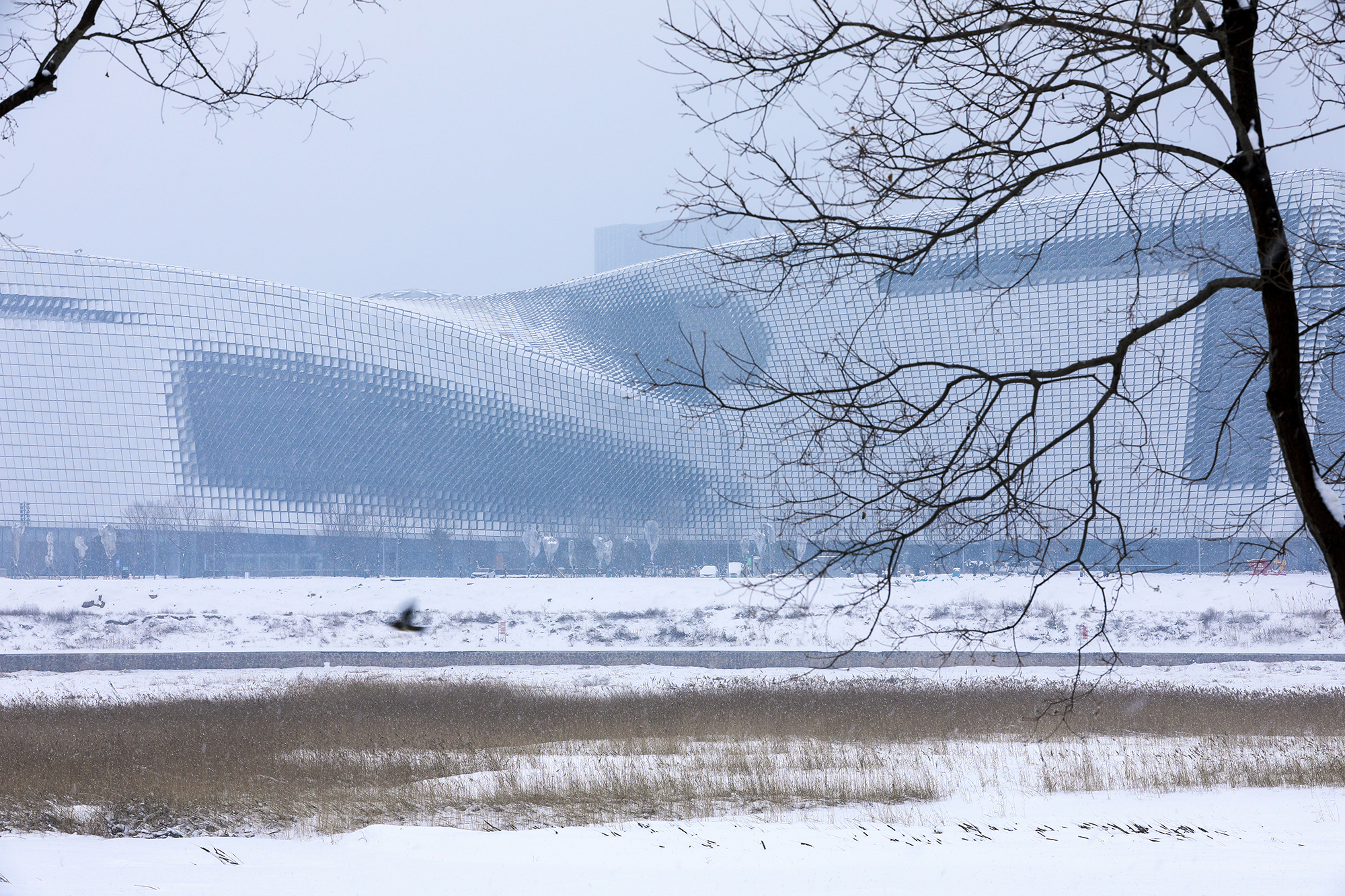 New Science and Technology Museum of Henan Province / TJAD Atelier L+-64