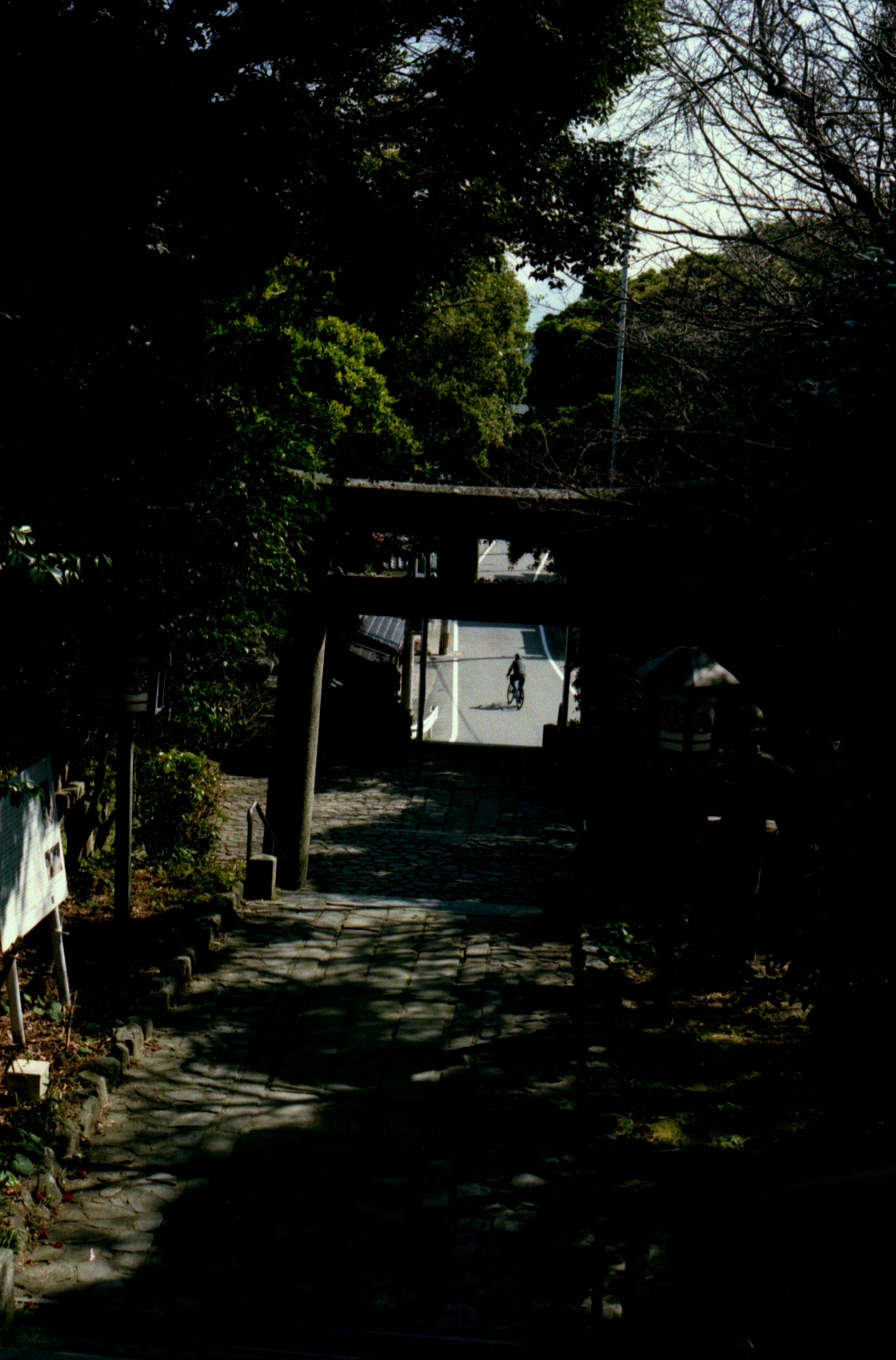 Film lives on.-9