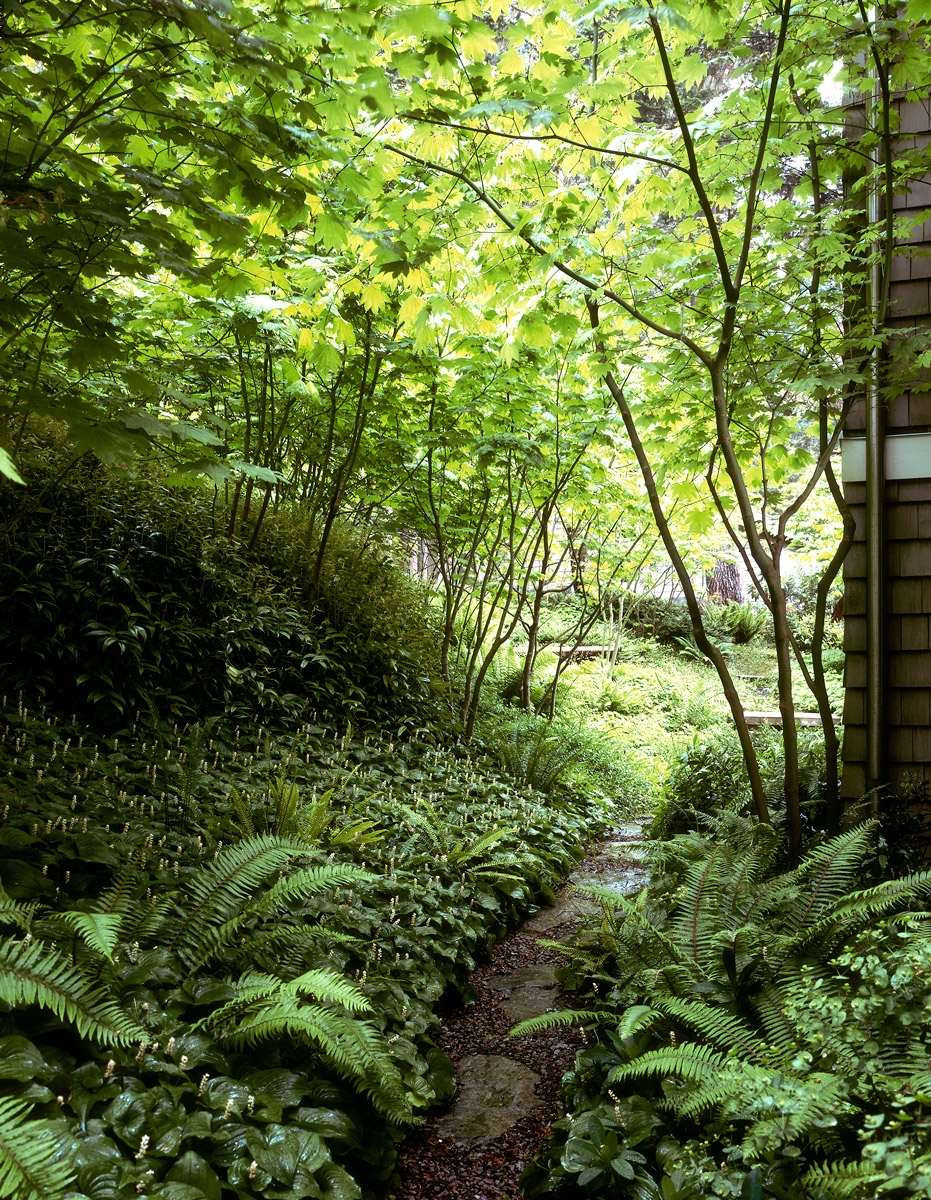 圣胡安岛森林住宅-15