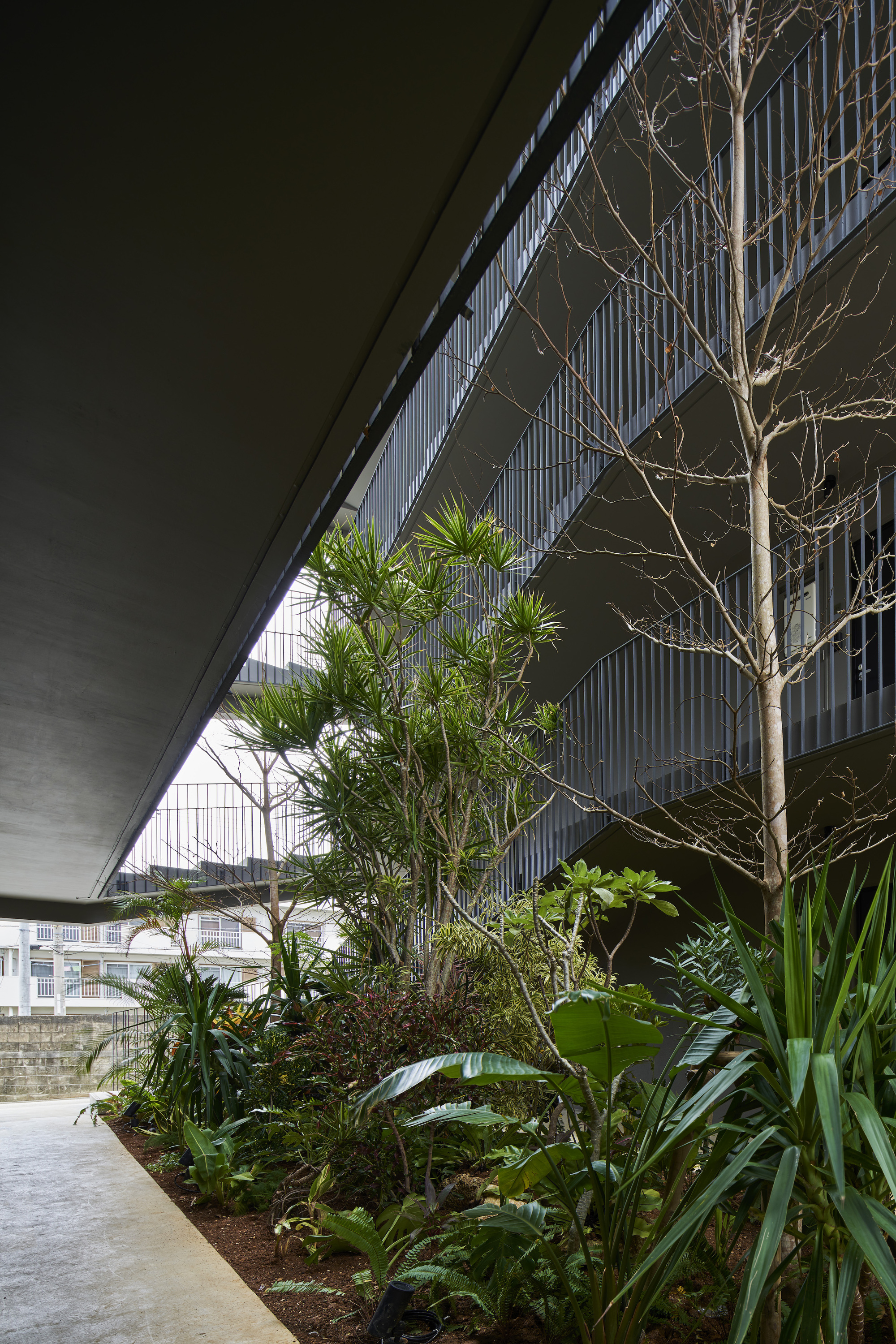 N 公寓丨日本丨Yohei Kawashima Architects-17