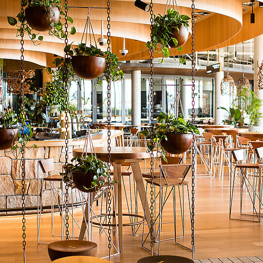 Harbord Diggers Club by Fender Katsalidis | Australian Interior Design Awards-0