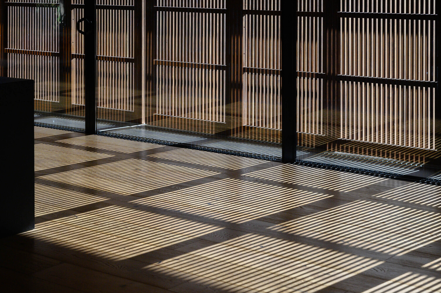 阿根廷 El Bosque 住宅丨蒙得维的亚大学-45