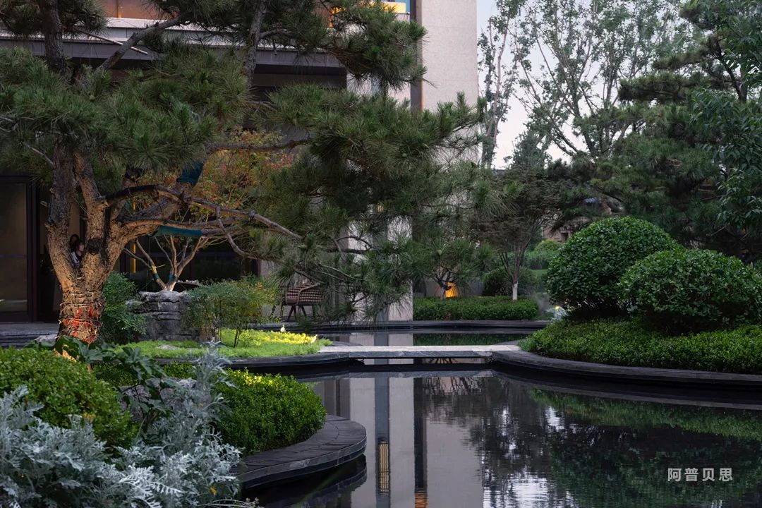 唐山国茂府丨中国河北丨UP+S 阿普贝思-60