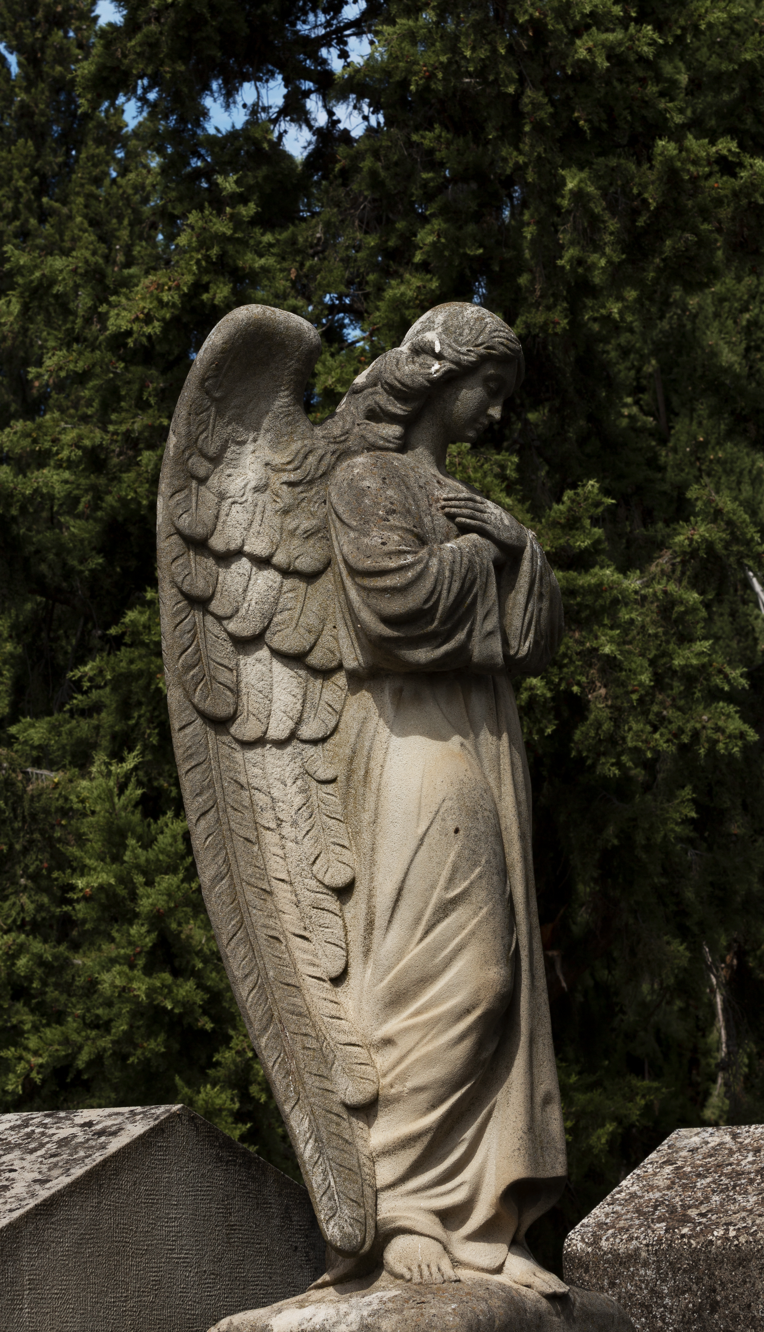 Cementerio de Zaragoza Parte 3-7