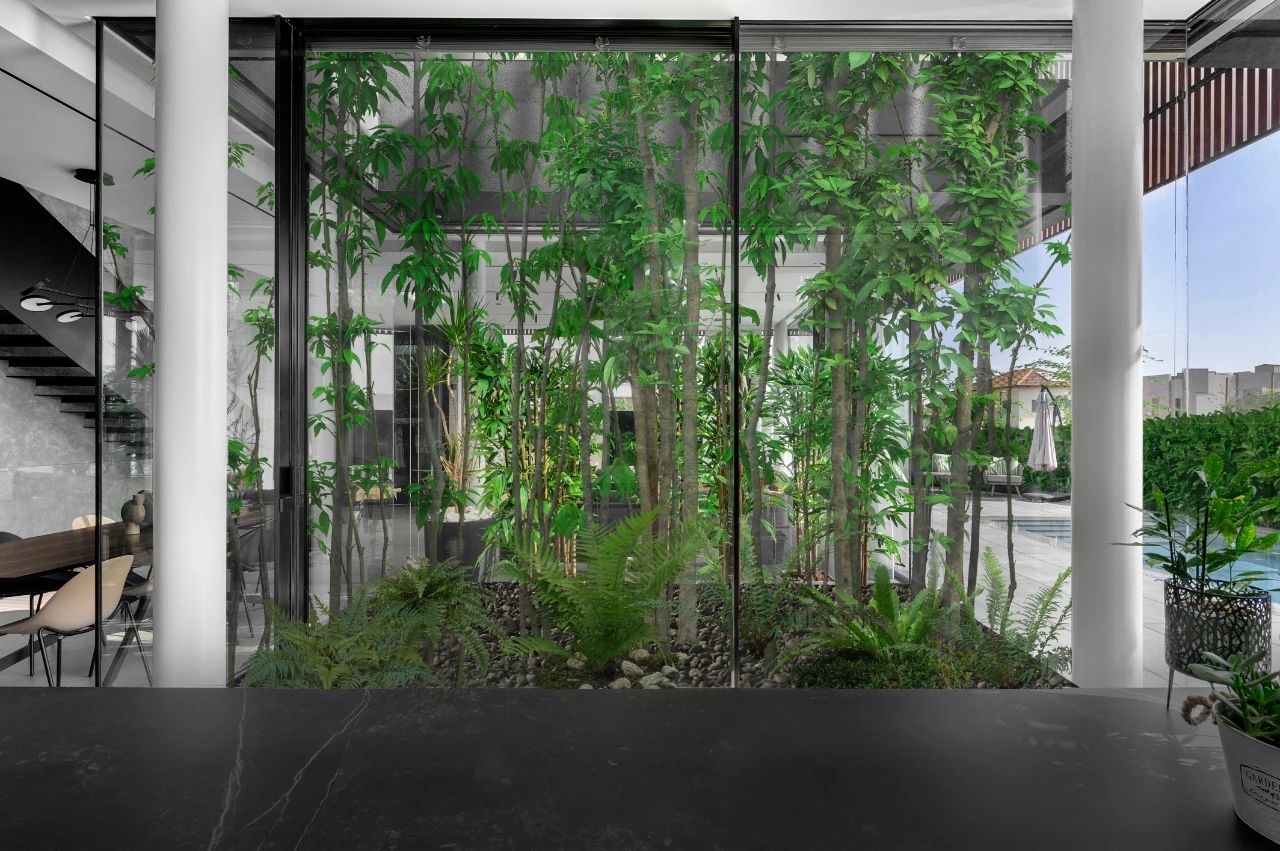 特拉维夫的隐蔽之家丨以色列特拉维夫丨Dan and Hila Israelevitz-10