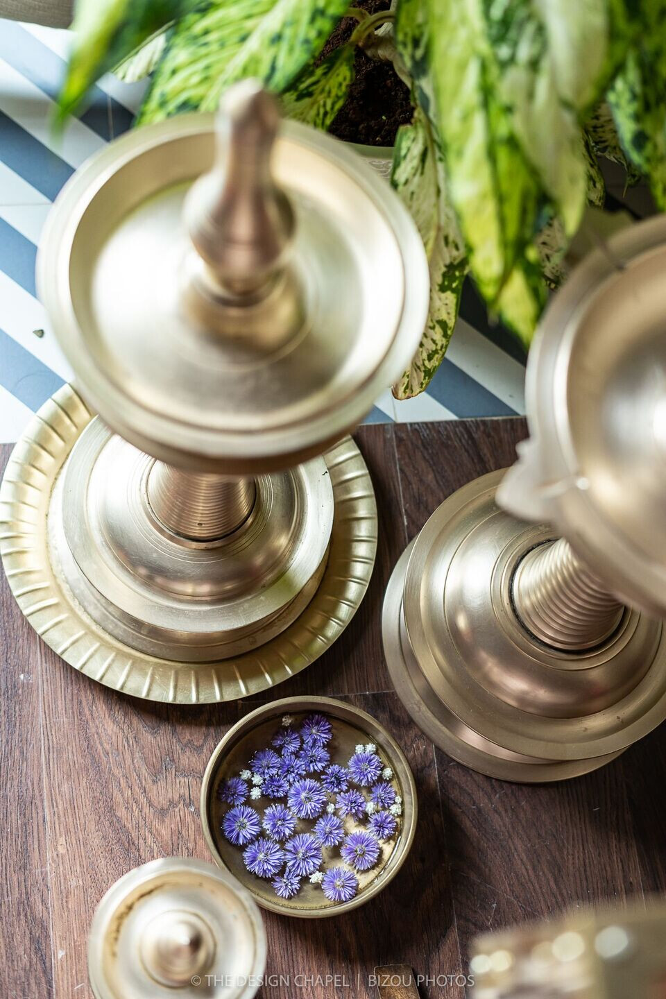 绿意盎然的宁静之家 | Mumbai 的 La Maison Sereine-47