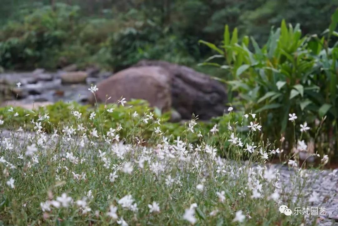 峨眉山恒邦高桥里花境营造丨中国眉山丨成都乐梵缔境园艺有限公司-139