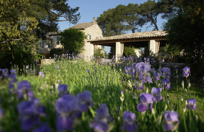 南法古宅玫瑰庄园 | 传统与自然的完美融合-3