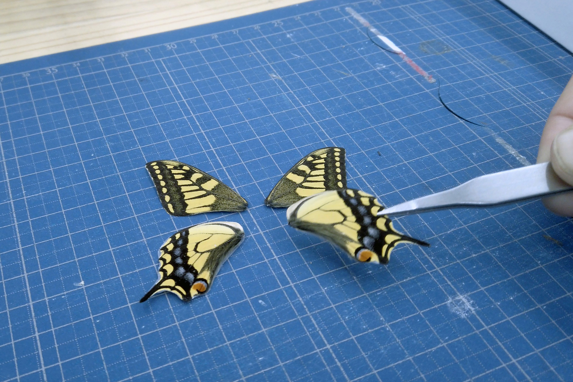 银座生态地图丨JapanTokyo丨Hakuten Corporation-27