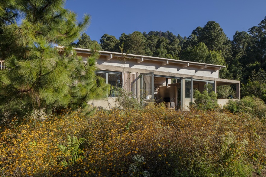 丨墨西哥丨Claudia Rodriguez,Louise Rouzaud-25