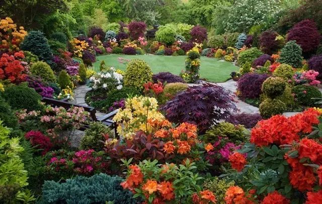 7旬夫妻用24年建绝美花园 全球花友慕名来“探花”-53