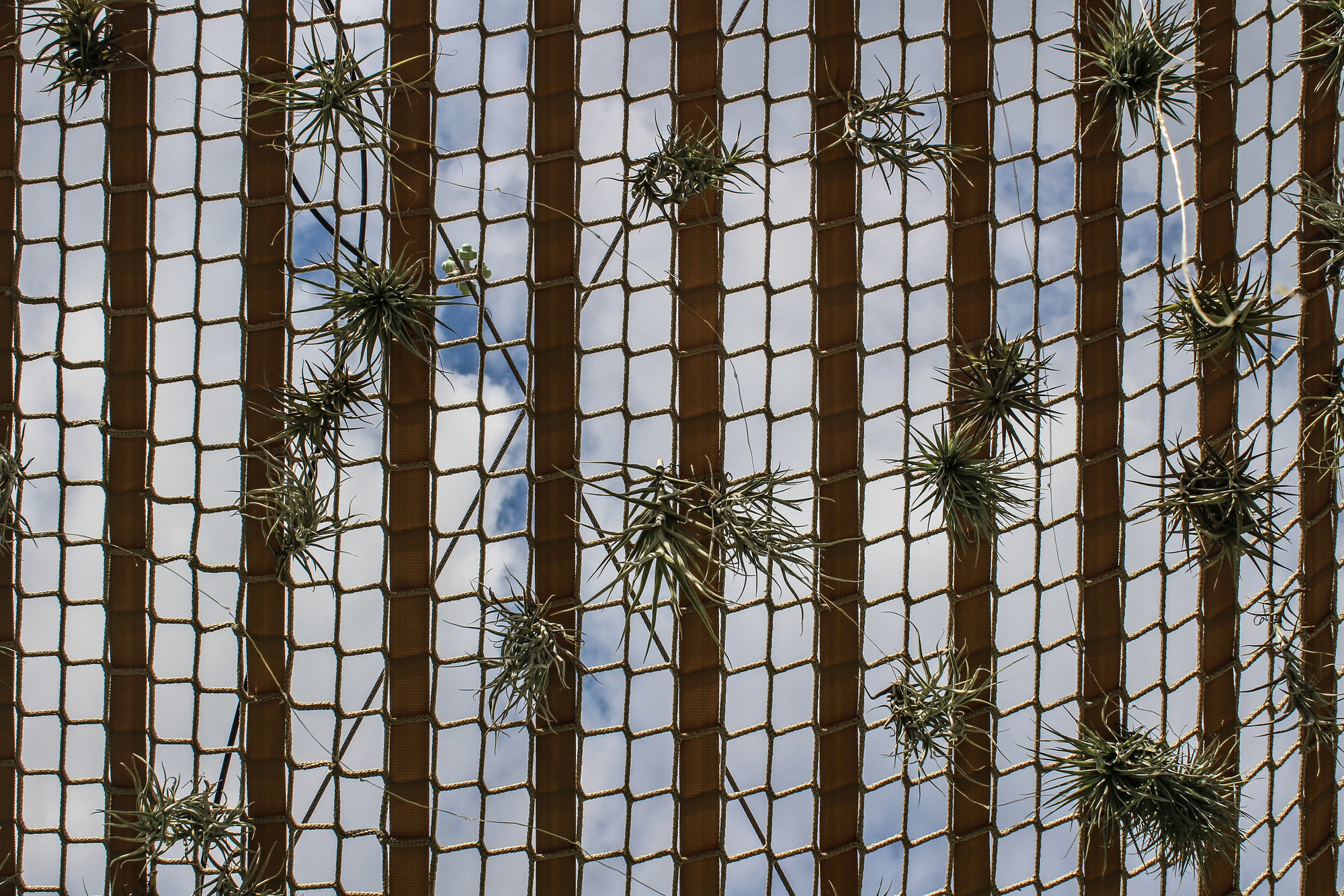 夏日海岸设施丨法国丨Vous Architecture & Design-25