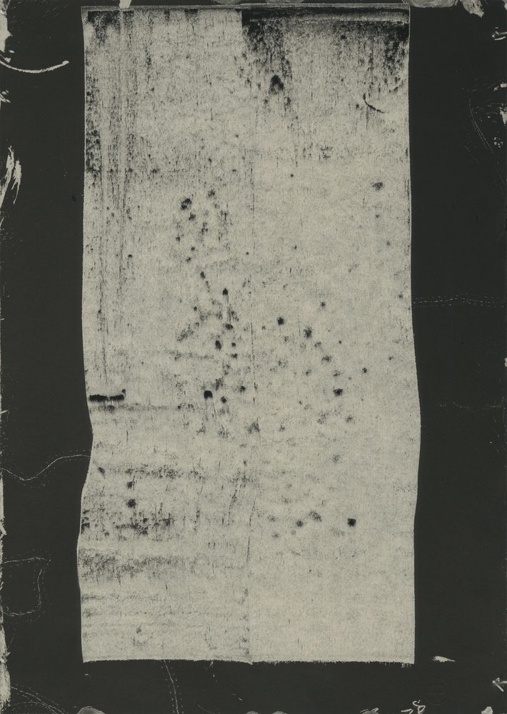 智利垂直景观公园 · 融合自然的艺术雕塑-60