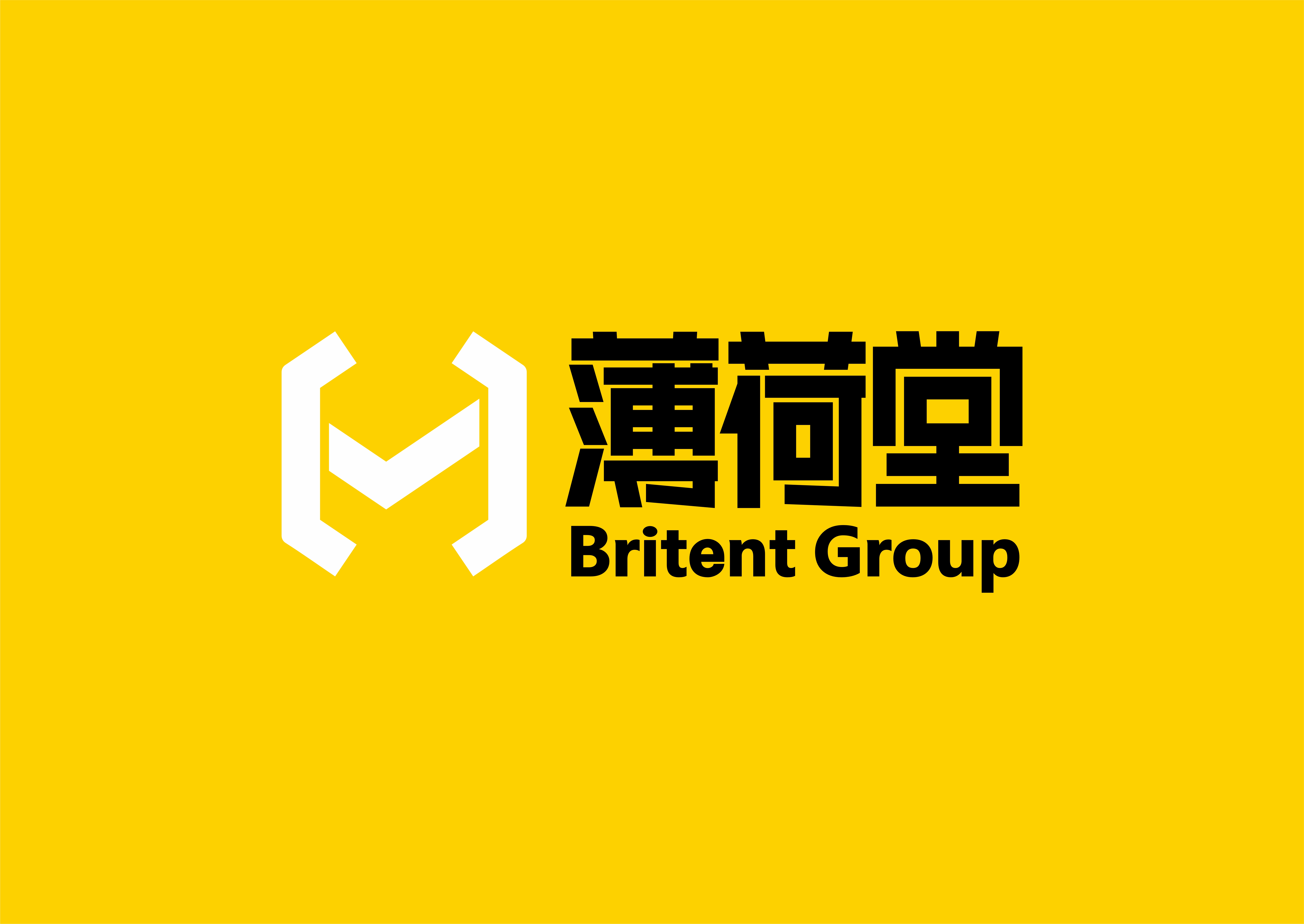 BRITENT GROUP 薄荷堂艺术教育中心丨中国桂林丨OXD GROUP 品牌制造-0