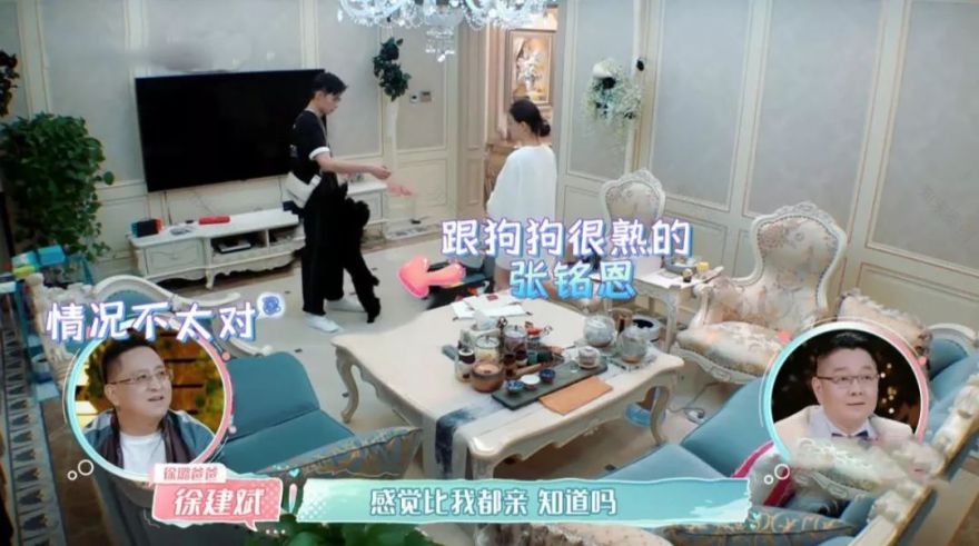 徐璐家居风格大揭秘,欧式装修大气又实用-12