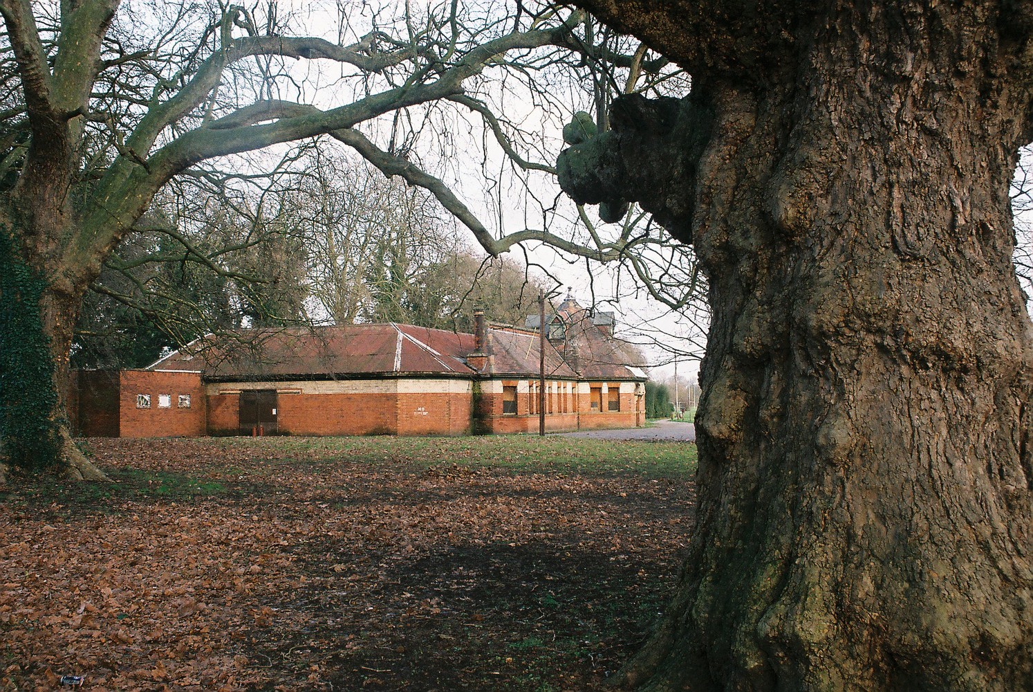 泰晤士河丽都（Thames Lido）-40