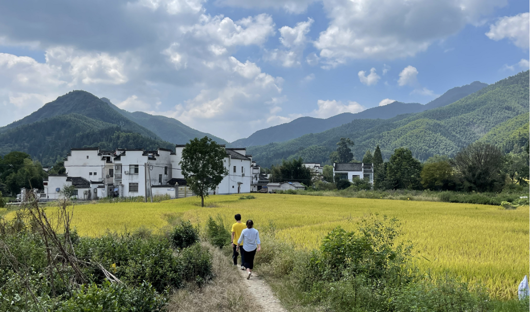 黄山悦榕庄(C 地块)·黄山文化村丨中国黄山丨瀚世景观规划设计(上海)有限公司-36