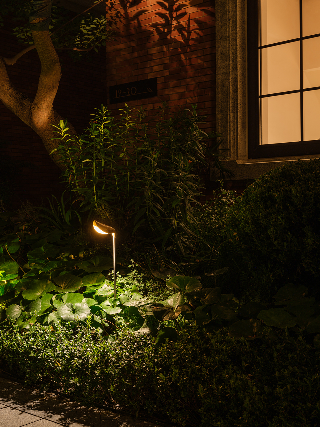 TS新作 | 瑞安·翠湖滨江光的偶遇-40