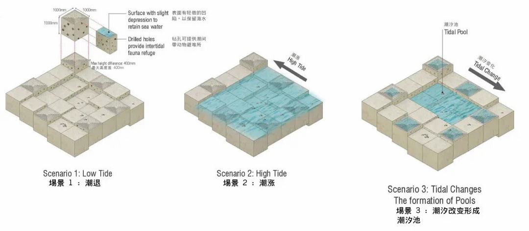 东涌东海滨·东涌新市镇扩展区的亲水和生态友善海滨项目丨中国香港丨AECOM-22