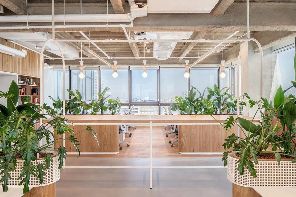 Atera 特拉维夫办公空间丨以色列特拉维夫丨Switchup-1