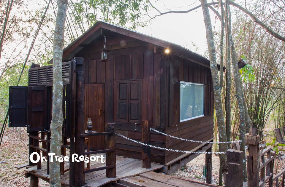 7 บ้านไม้ยกพื้นใต้ถุนสูง แบบไทยโบราณ บรรยากาศร่มรื่น - บ้านสไตล์-42