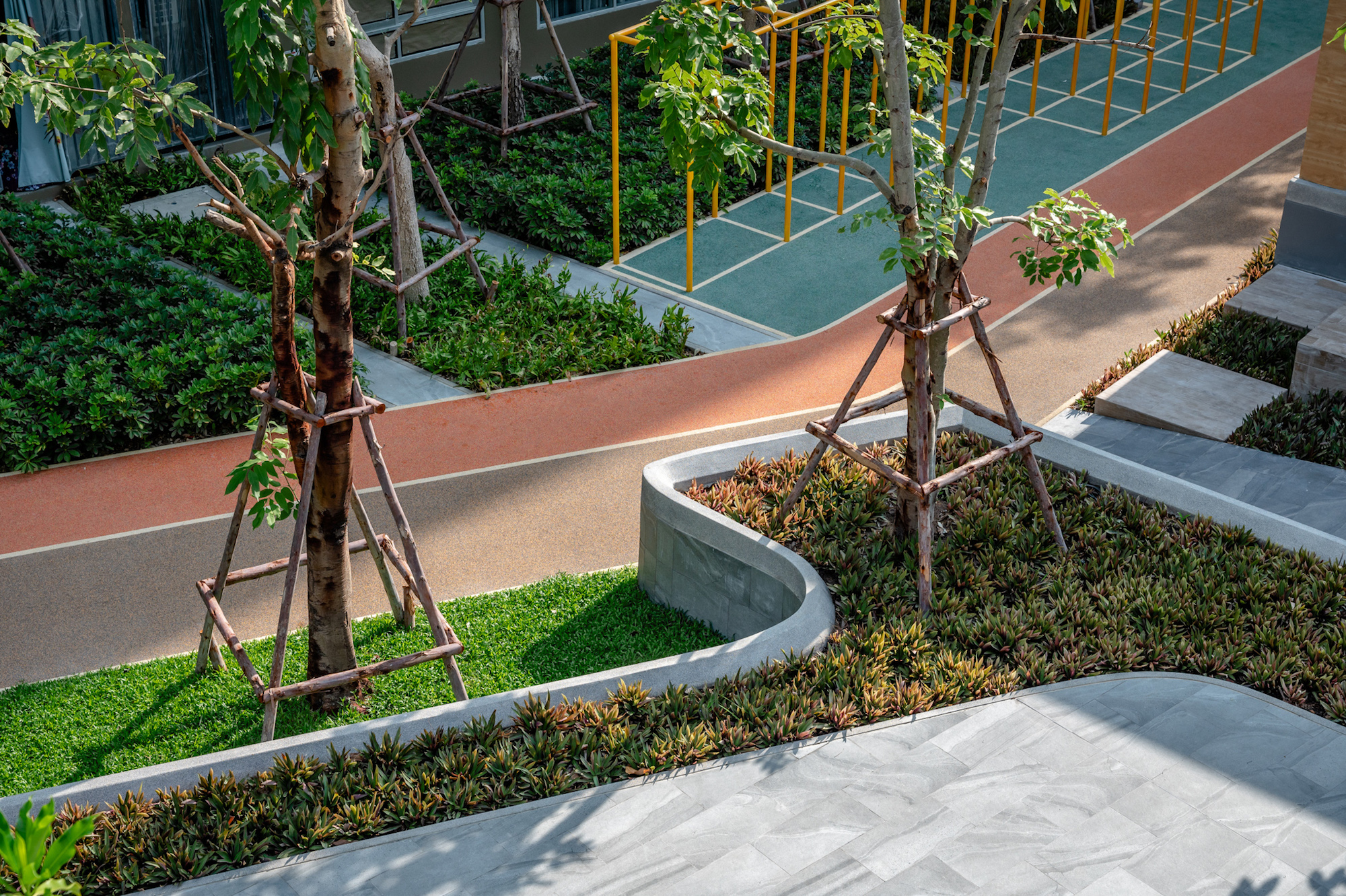 活力大区(Plum Alive)-13