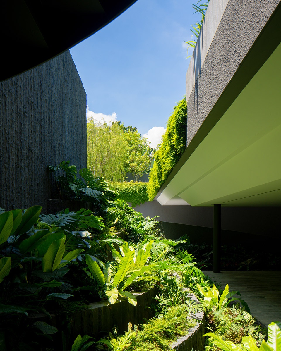 机缘之屋丨新加坡丨Wallflower Architecture + Design-21